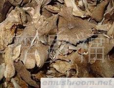 云南 纯天然 野生ManBetX体育 批发/鸡枞菌