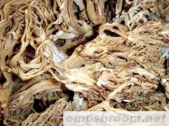 供应 野生菌 牛肝菌 刷把菌 珊瑚菌 野山菌