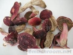 供应云南野生菌/红菇菌