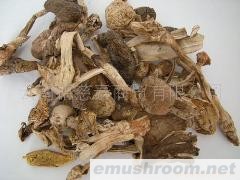 供应云南野生菌菇/白落伞菌
