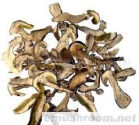 供应四川特产牛肝菌(图)