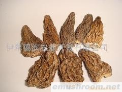 供应ManBetX体育(图)