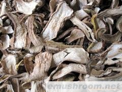 供应A级美味牛肝