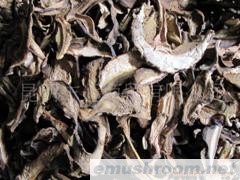 供应A级黑牛肝菌