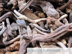 供应A级土鸡棕菌