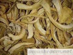 供应；黄虎掌干片 特优土特产