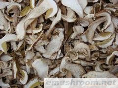 供应 野生菌 牛肝菌 绿色食品 蔬菜 干货