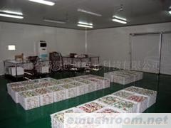 供应鲜品秀珍菇(图)