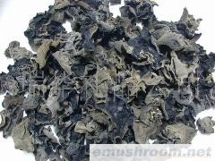 大量供应干木耳/木耳---物美价廉 绿色食品