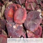 供应假红菌、真大红菌、等ManBetX体育