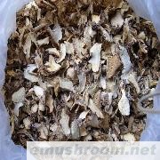 供应刷把菌片、刷把菌、黄落伞、白落伞等ManBetX体育