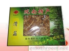 批发供应滑菇（盒装）