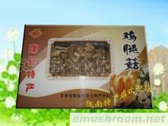 批发供应鸡腿菇