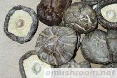 供应干椎茸(图)