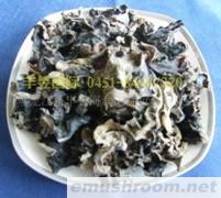 供应挂袋普通木耳（散装）