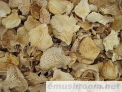 供应有机Manbetx体育手机版推荐A9版本干制白平菇