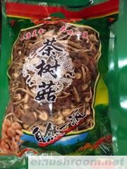 供应茶树菇