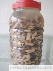 供应姬菇&mdash;&mdash;热销日本，出口内销