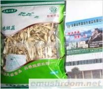 供应 Manbetx体育手机版V17版本发布.官网安卓网.香港 有机保健食品  鸡腿菇