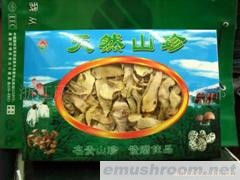 供应盒装牛肝菌