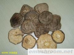 批发供应椴木香菇,大片薄菇，香菇