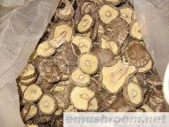 供应厂家直销全新包装特色年货香菇