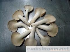 供应鲜品秀珍菇(图)