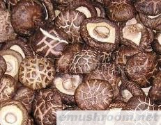 供应干香菇批发