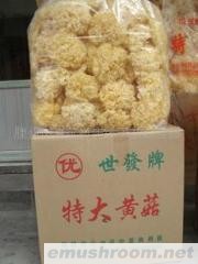 供应 超级精选 福建古田银耳