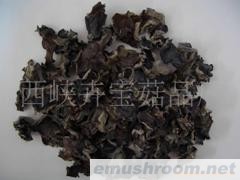供应木耳，黑木耳