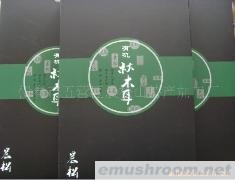 批发供应东北土特产质优价廉的晨松牌有机秋木耳