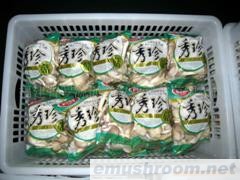 供应鲜品秀珍菇(图)