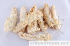 特级野生香竹荪