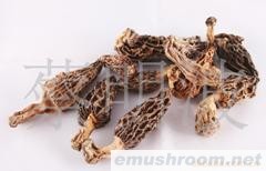 特级Manbetx体育手机版V17版本发布.官网安卓网.香港