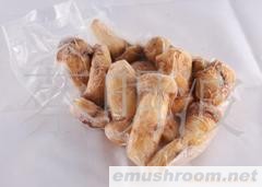 速冻特级野生松茸