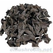 云南 纯天然 野生ManBetX体育 批发/ 珍珠黑木耳