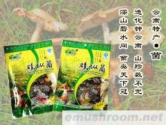 批发供应云南特产 品世鸡纵菌