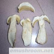 供应美味白牛肝