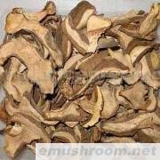 批发供应红乳牛肝菌