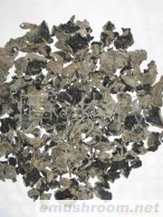 供应东北黑木耳