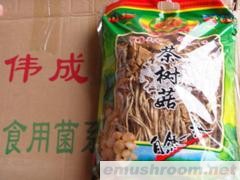 供应古田茶树菇