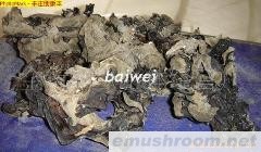 批发供应东北黑木耳