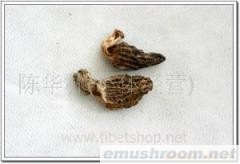 批发供应西藏特产-Manbetx体育手机版V17版本发布.官网安卓网.香港