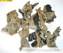 批发供应东北柞木秋木耳