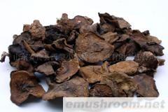 公司大量经营精品松菇