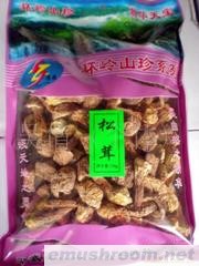 供应干松茸(图)
