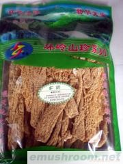 供应干竹荪(图)