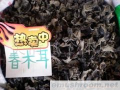 供应春木耳(图)