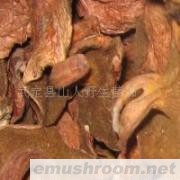 供应红乳牛肝菌