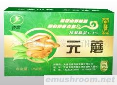 供应东北压缩精品元蘑